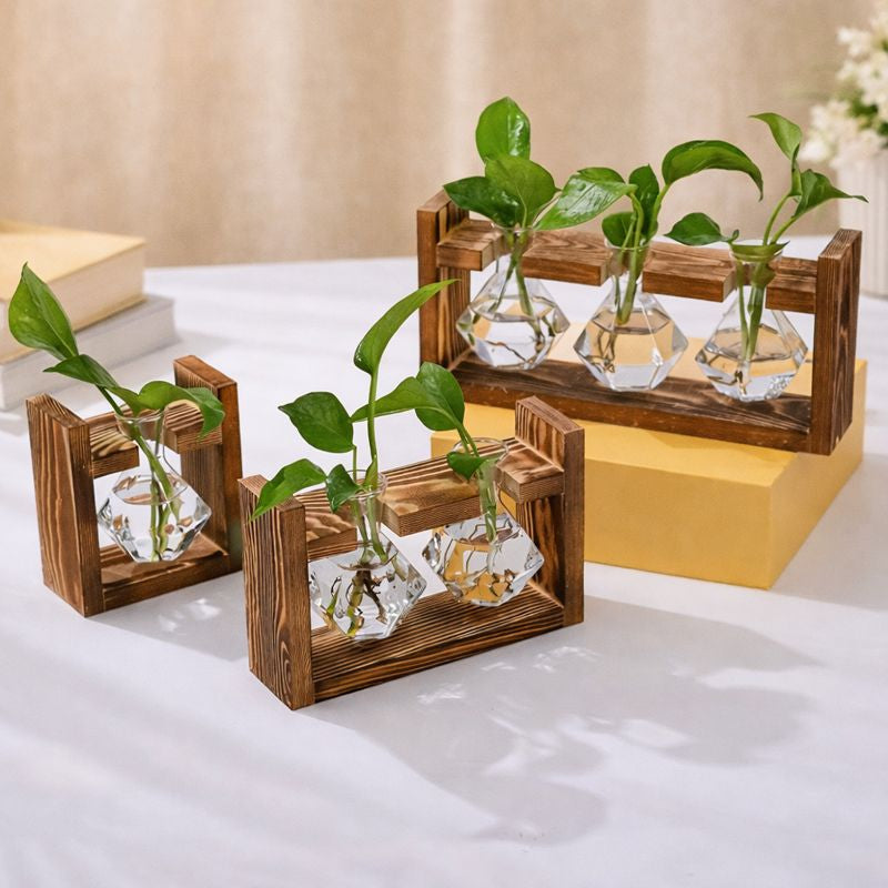 Wooden Frame Hydroponic Plant Vase